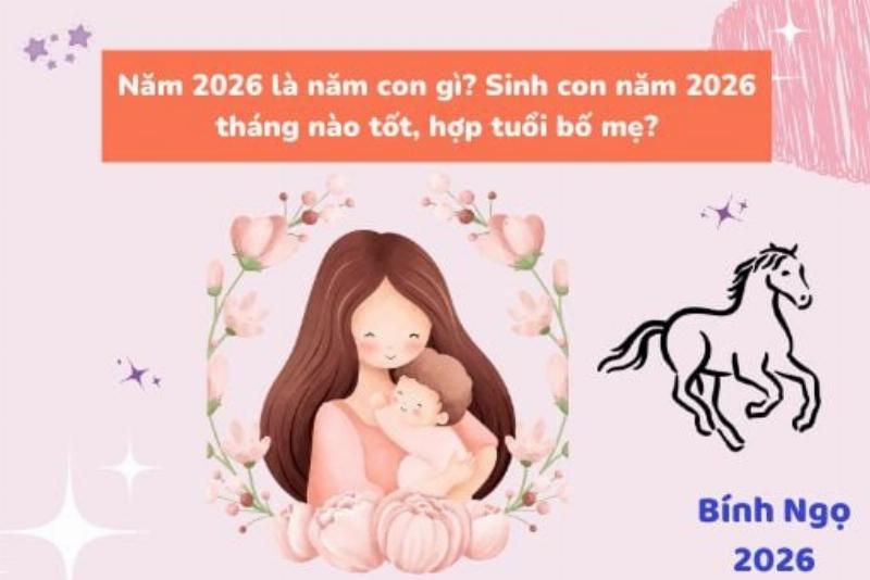 Ý nghĩa Tử Vi năm Bính Ngọ 2026