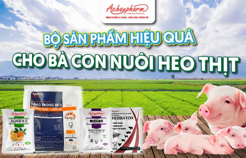 Đối Tác Của Ý Á Châu