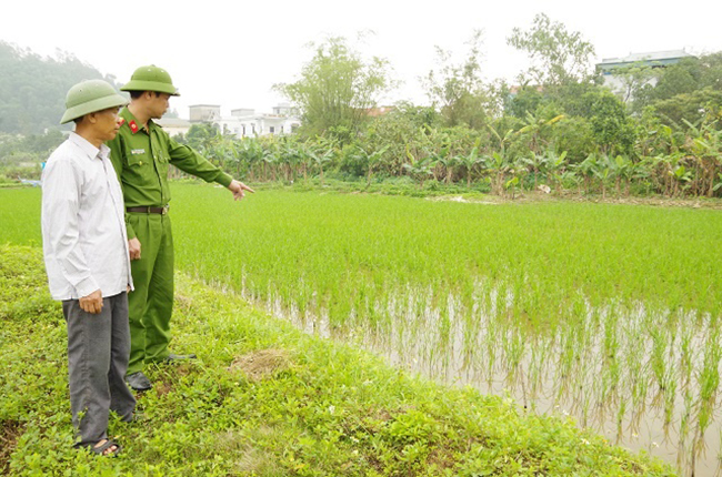 Bẫy chuột chết người có bị truy cứu tội giết người không?