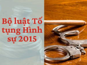 Bộ luật Tố tụng Hình sự 2015 – số 101/2015/QH13 – Văn bản pháp luật
