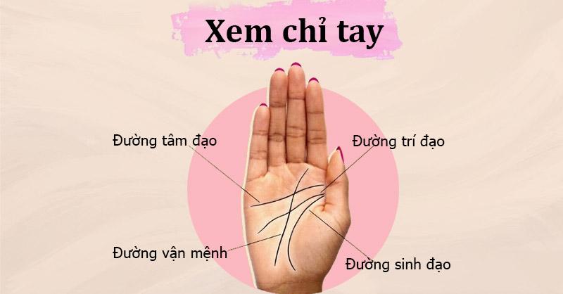 Hình Dáng Bàn Tay Chữ Nhất