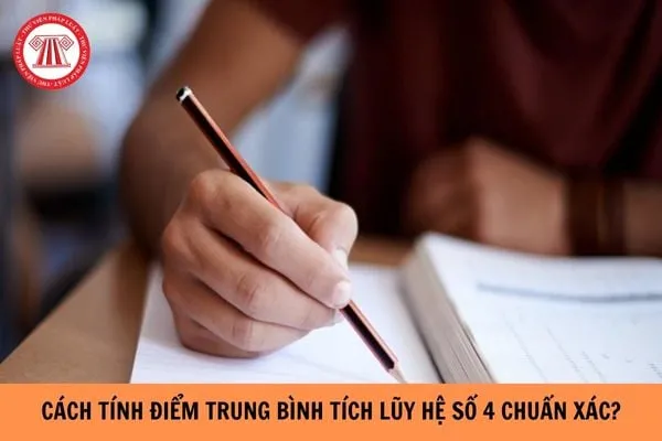 Cách tính điểm trung bình tích lũy hệ số 4 chuẩn xác nhất năm 2024?