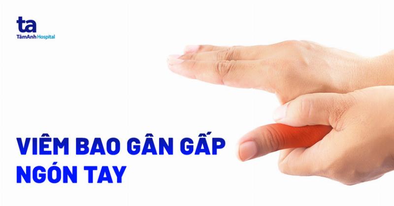 Độ Đàn Hồi Của Các Gò Trên Lòng Bàn Tay