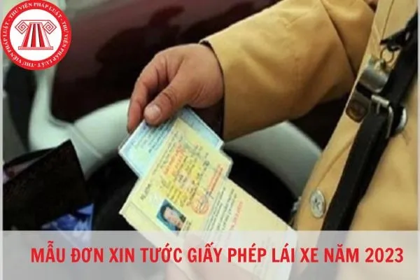 Hình ảnh minh họa mẫu đơn xin miễn tước GPLX