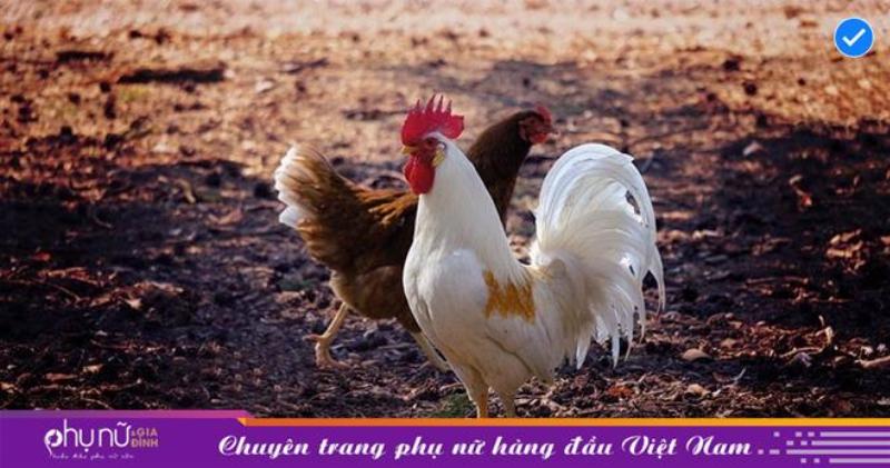 Lựa chọn ngành nghề cho người sinh năm 2005