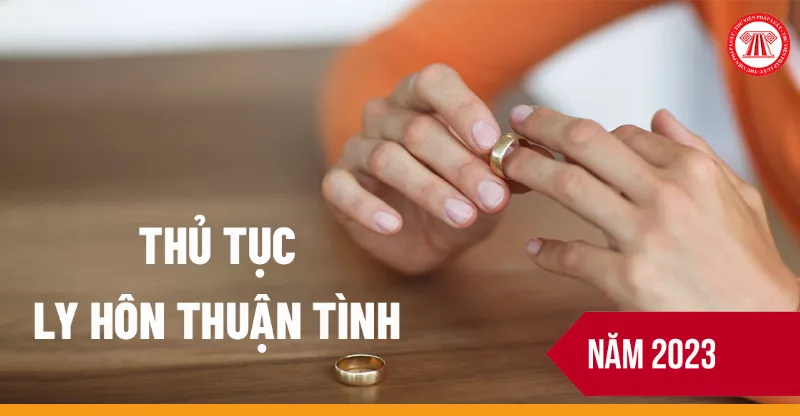 Mẫu đơn yêu cầu công nhận thuận tình ly hôn