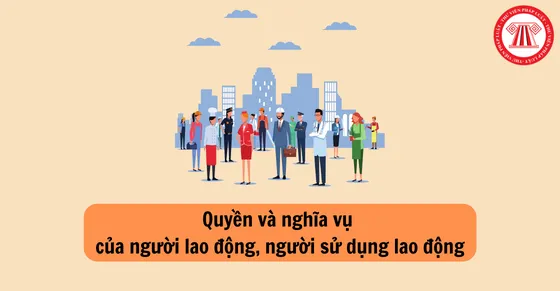 Quyền và nghĩa vụ của người lao động, người sử dụng lao động