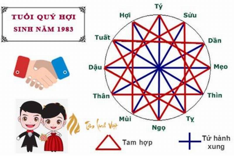 Tử vi Quý Hợi nữ mạng công việc