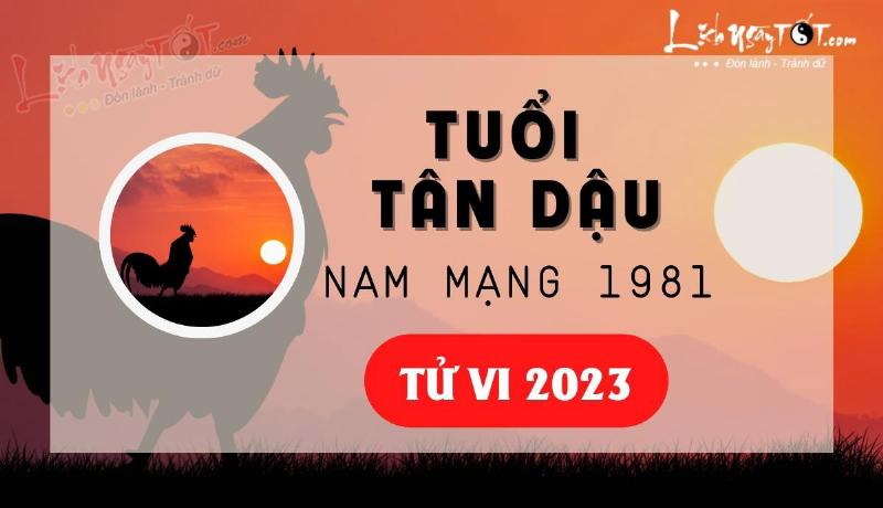 Tử Vi Tân Dậu Nam Mạng 2023: Công Việc