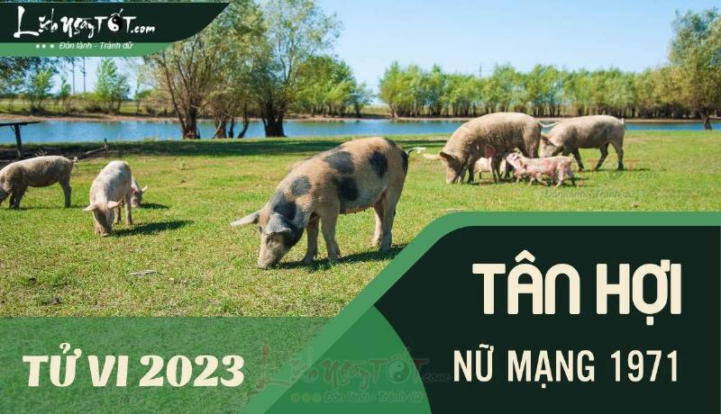 Tử vi Tân Hợi 2023 Nữ Mạng Lưu Ý