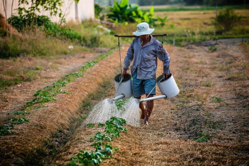 Văn Hóa Người Việt