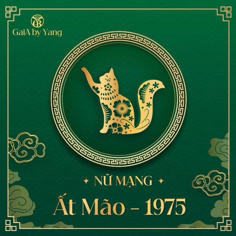 Ất Mão 1975 nữ mạng - Sự nghiệp