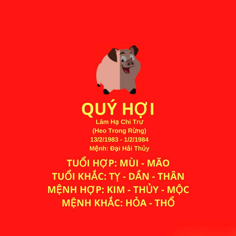 Chi Tiêu Hợp Lý Tuổi Quý Hợi