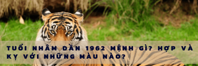 Đặc điểm người tuổi Nhâm Dần 1962