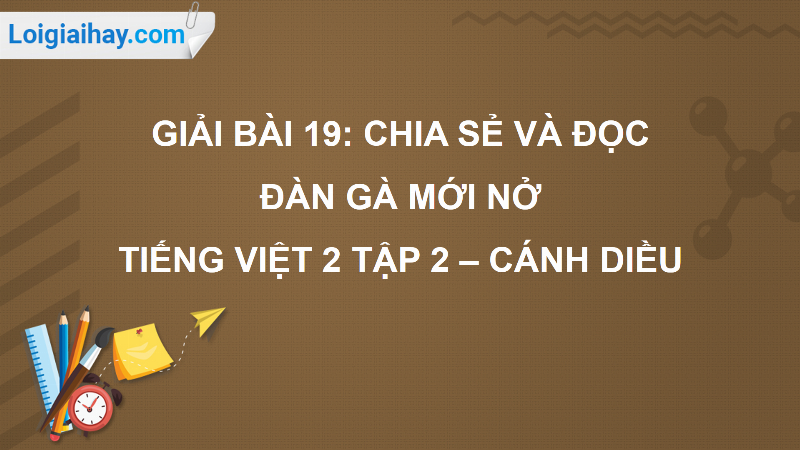 Đàn gà con mới nở