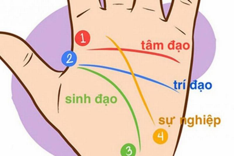 Đường Sinh Đạo Nữ Tay Phải