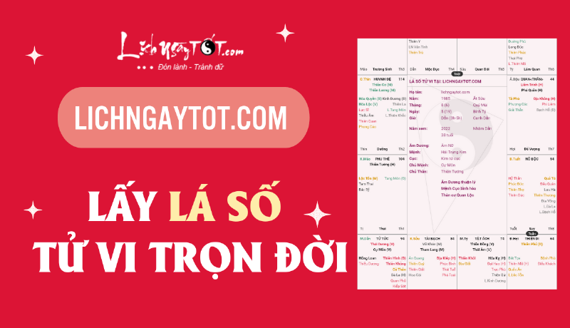 Giải lá số tử vi online