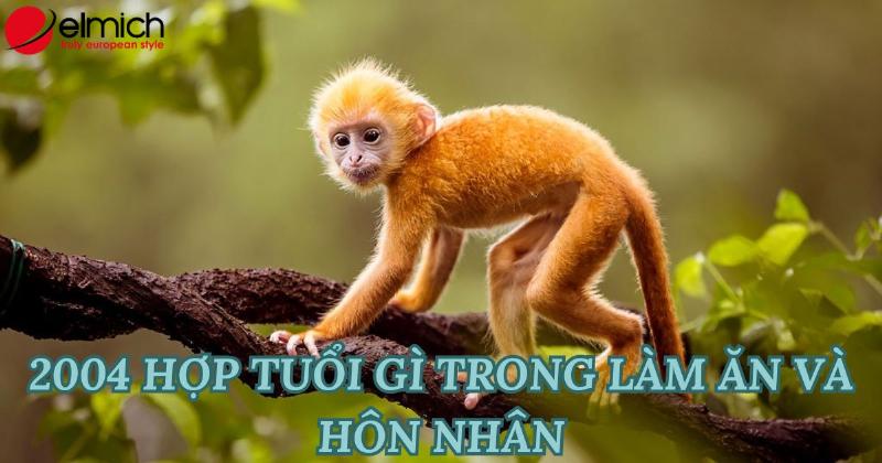 Học tập tuổi Giáp Thân 2004