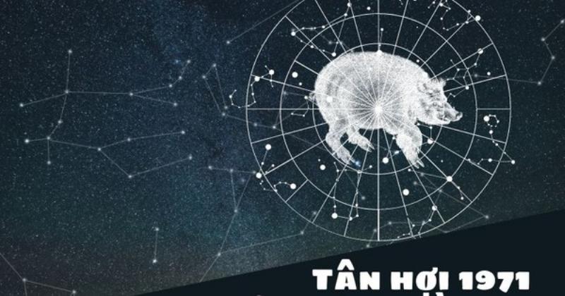 Lưu Ý Cho Tuổi Tân Hợi Năm 2023