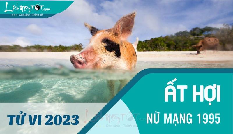 Lưu ý tử vi tuổi Hợi 1995 nữ mạng năm 2023