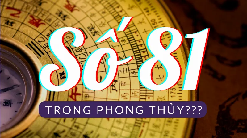 Số 81 và Sim Phong Thủy