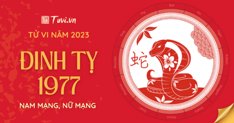 Sự nghiệp Đinh Tỵ 1977 năm 2023