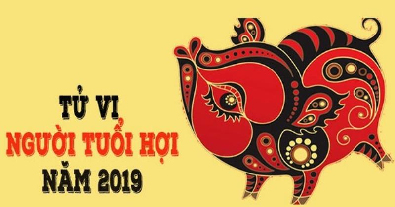 Sức Khỏe Tuổi Quý Hợi 2019