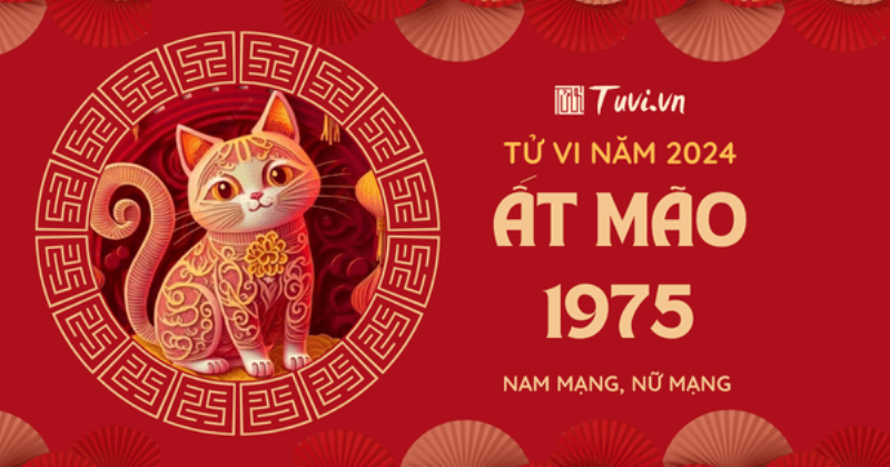 Tổng Quan Tử Vi Tuổi Ất Mão Nữ Mạng Năm 2022