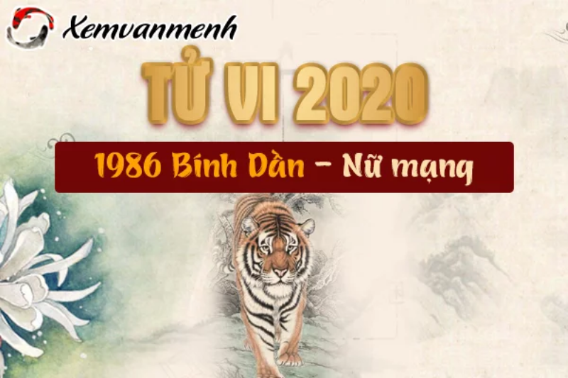 Tổng Quan Tử Vi Bính Dần 2020