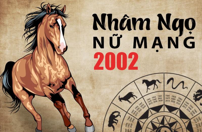 Tử vi theo từng giai đoạn cuộc đời Nhâm Ngọ 2002 nữ mạng