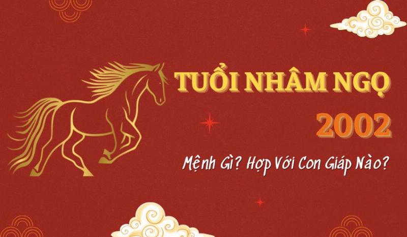 Tử vi Nhâm Ngọ 2002 tuổi hợp