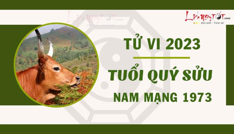 Tử Vi Quý Sửu 2023 Nam Mạng Sự Nghiệp