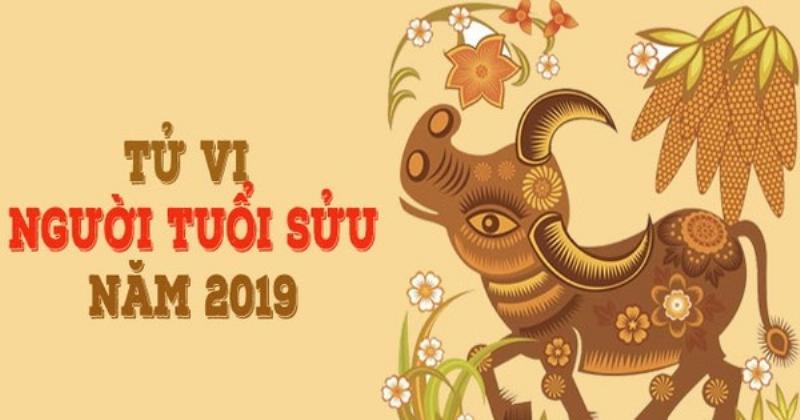 Tổng quan tử vi tuổi Quý Sửu nữ mạng năm 2019