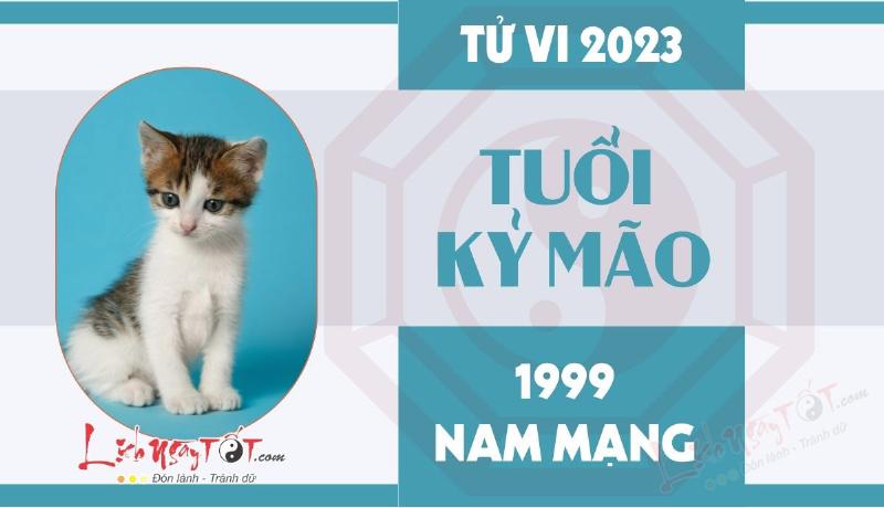 Tử Vi Sức Khỏe Nam Mạng Tuổi Mão 1999 Năm 2023