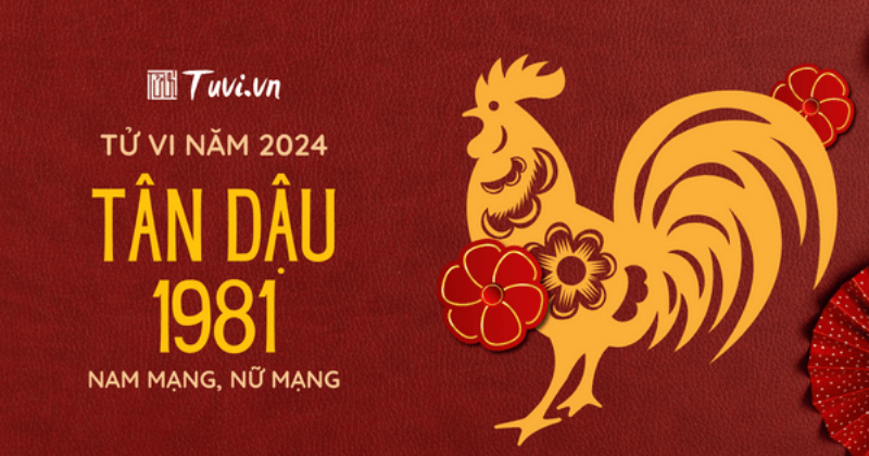 Tử vi lá số tuổi Tân Dậu 1981 năm 2024