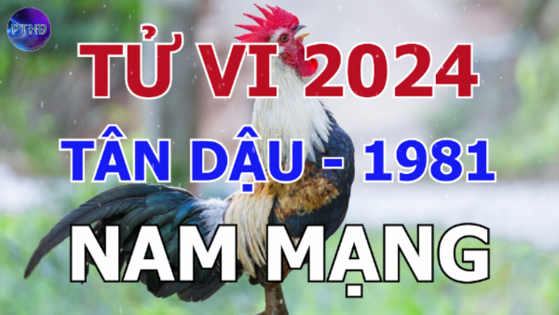 Tử Vi Tân Dậu 1981 Nam Mạng Công Việc