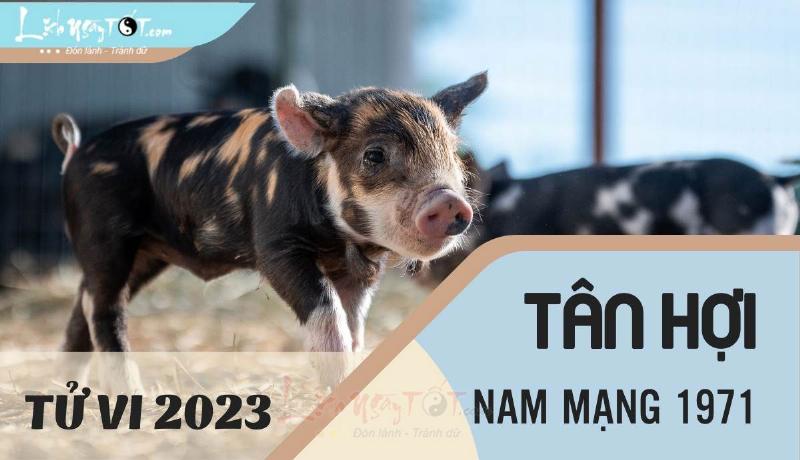 Tử Vi Tân Hợi 2023 Nam Mạng