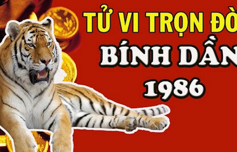 Tử Vi Tình Duyên Tuổi Bính Dần: Hạnh Phúc Hay Trắc Trở?