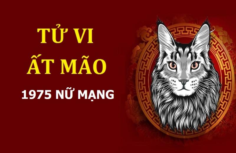 Tử vi trọn đời Ất Mão 1975 nữ mạng - Tổng quan