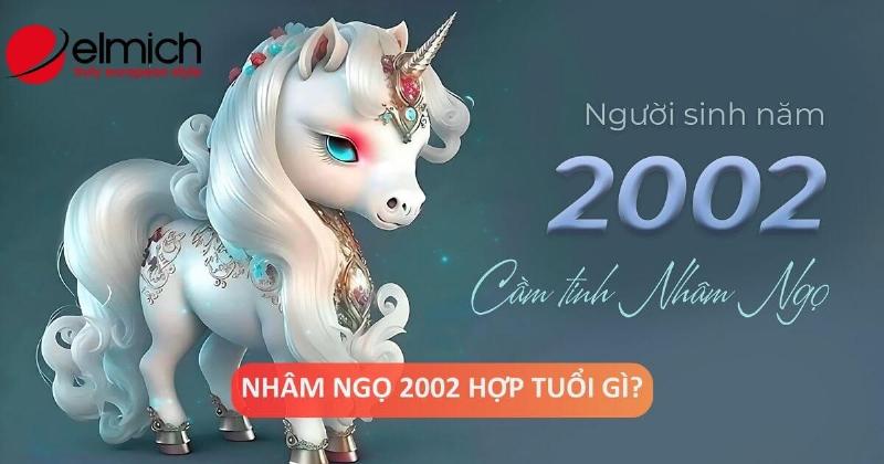 Tuổi Hợp Nhâm Ngọ 2002 Nữ Mạng