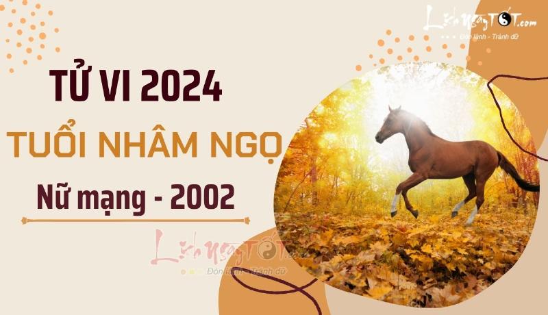 Vận Hạn Nhâm Ngọ 2002 Nữ Mạng 2024