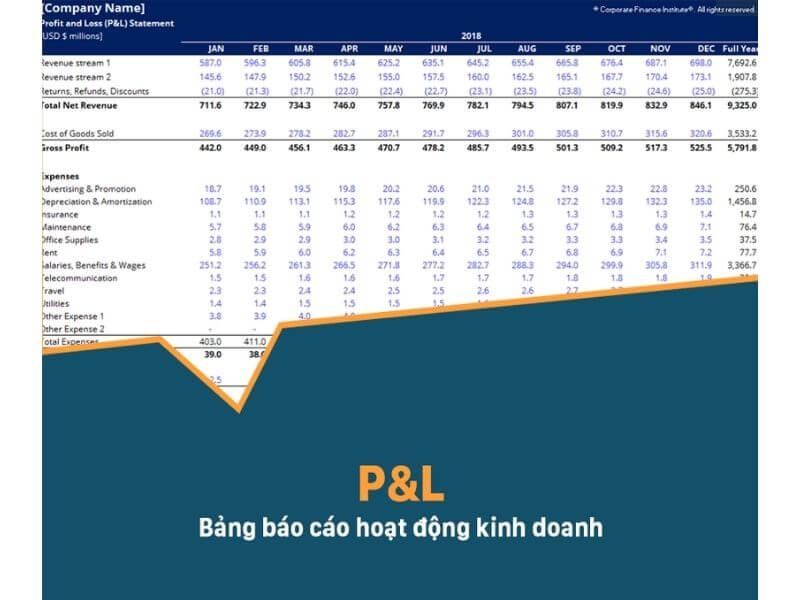 Báo cáo lãi lỗ P&L: Minh họa cấu trúc cơ bản