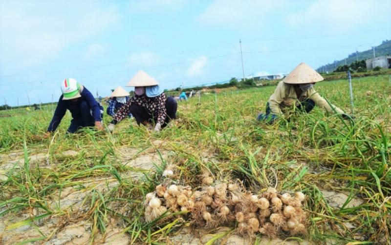 Bối cảnh kinh tế - xã hội ngày 10/7/2021