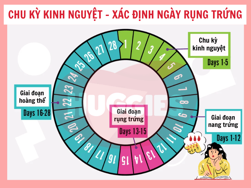 Các Công Cụ Hỗ Trợ Tính Toán Số Ngày