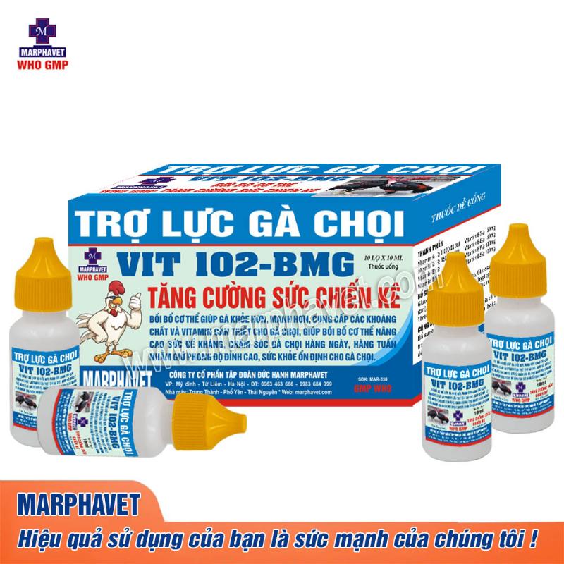 Gà Chọi Vào Nhà Đọ Sức