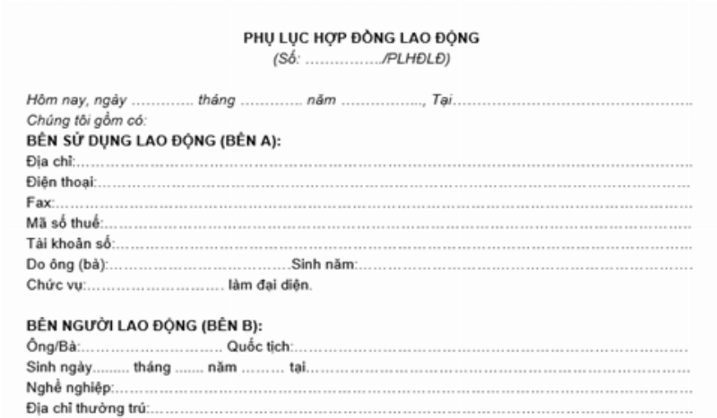 Mẫu Phụ Lục Hợp Đồng Quan Trọng