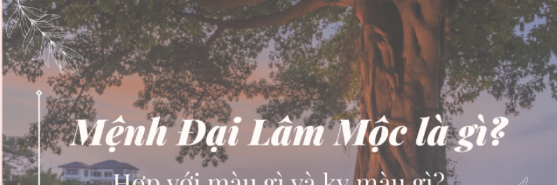 Tuổi Mậu Thìn 1928 Mệnh Đại Lâm Mộc