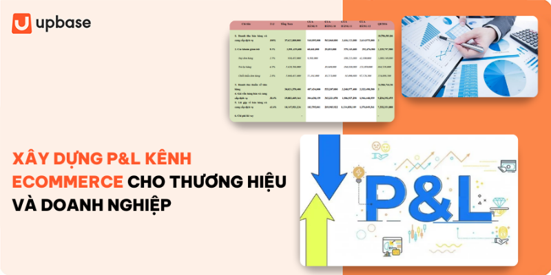 Phân tích báo cáo P&L cho quyết định kinh doanh