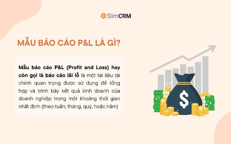 Tạo báo cáo P&L bằng Excel