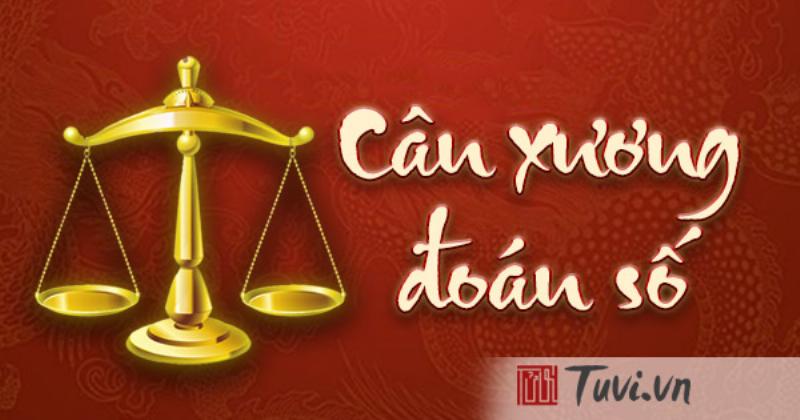 Tính cân lượng chỉ trong tử vi